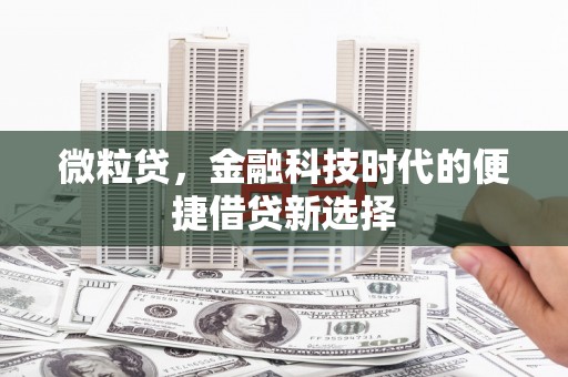 西秀微粒贷，金融科技时代的便捷借贷新选择