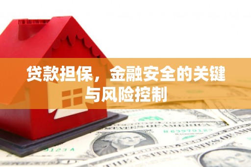 西秀贷款担保，金融安全的关键与风险控制