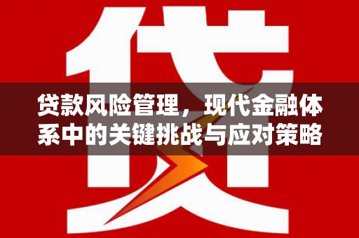 西秀贷款风险管理，现代金融体系中的关键挑战与应对策略