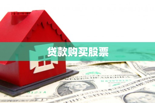 西秀贷款购买股票